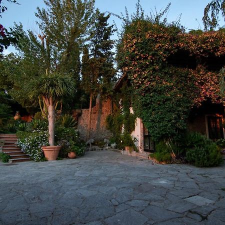Villa Le Palme Forio di Ischia Zewnętrze zdjęcie