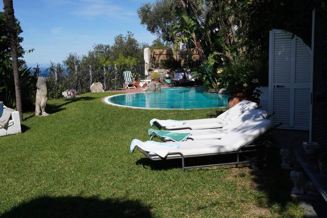 Villa Le Palme Forio di Ischia Zewnętrze zdjęcie