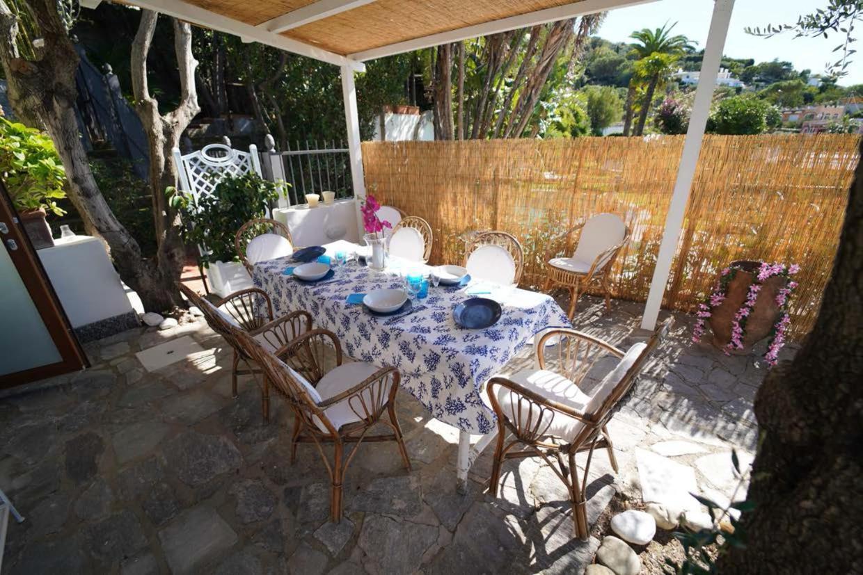 Villa Le Palme Forio di Ischia Zewnętrze zdjęcie