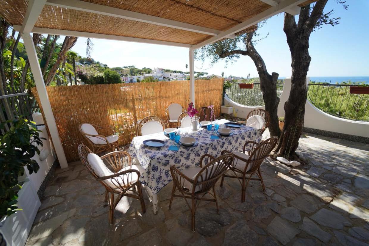 Villa Le Palme Forio di Ischia Zewnętrze zdjęcie