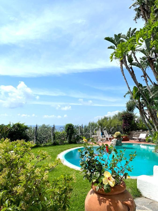 Villa Le Palme Forio di Ischia Zewnętrze zdjęcie