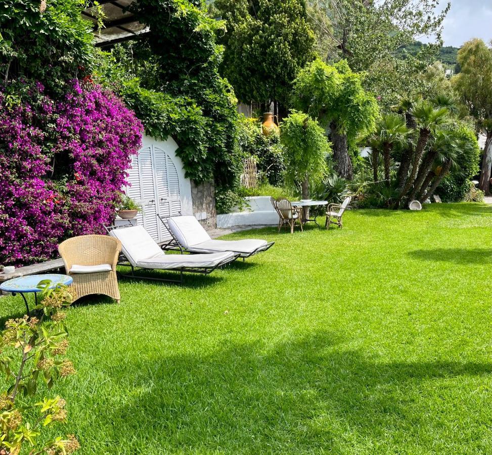 Villa Le Palme Forio di Ischia Zewnętrze zdjęcie