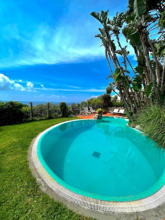 Villa Le Palme Forio di Ischia Zewnętrze zdjęcie