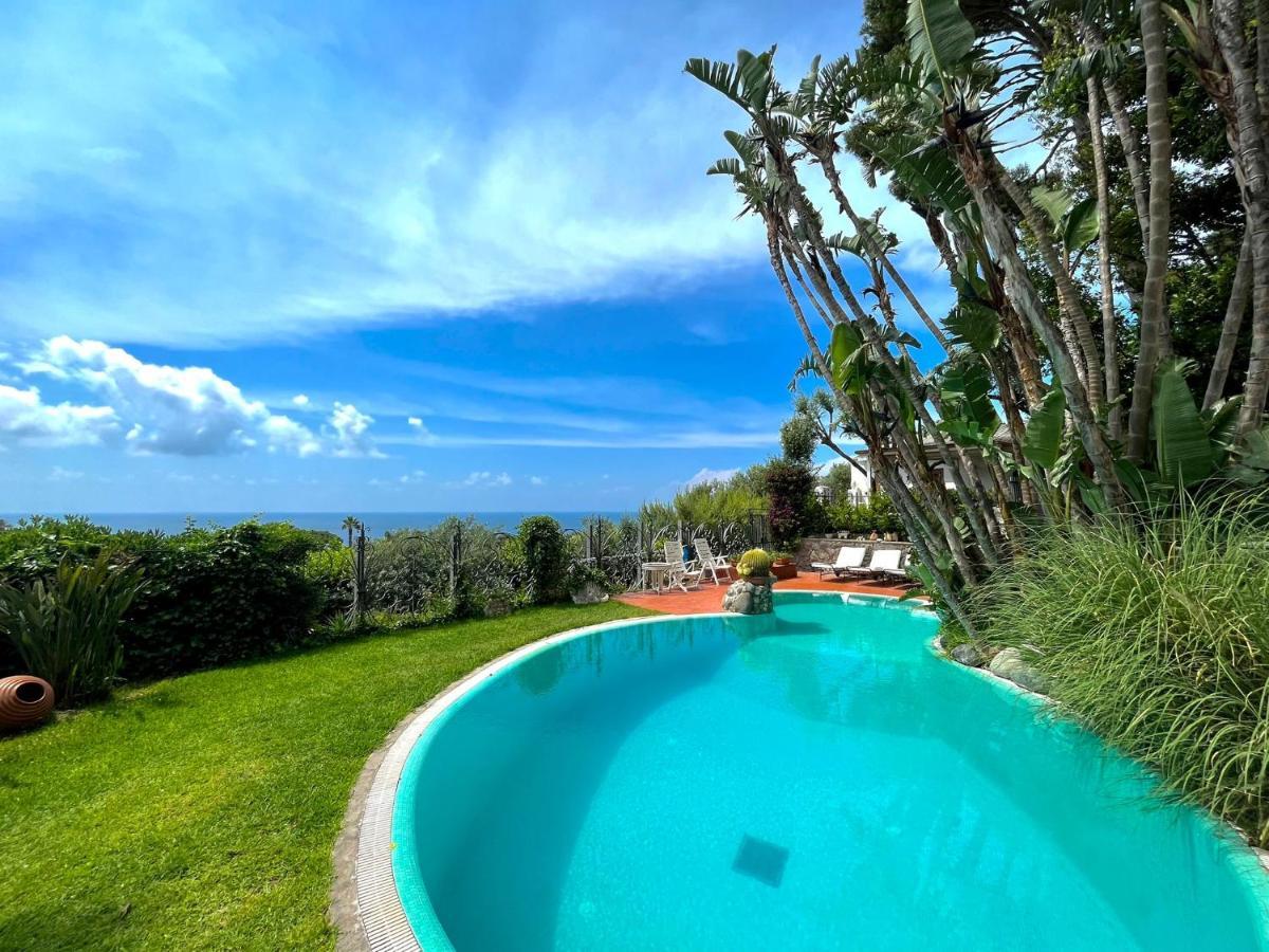 Villa Le Palme Forio di Ischia Zewnętrze zdjęcie