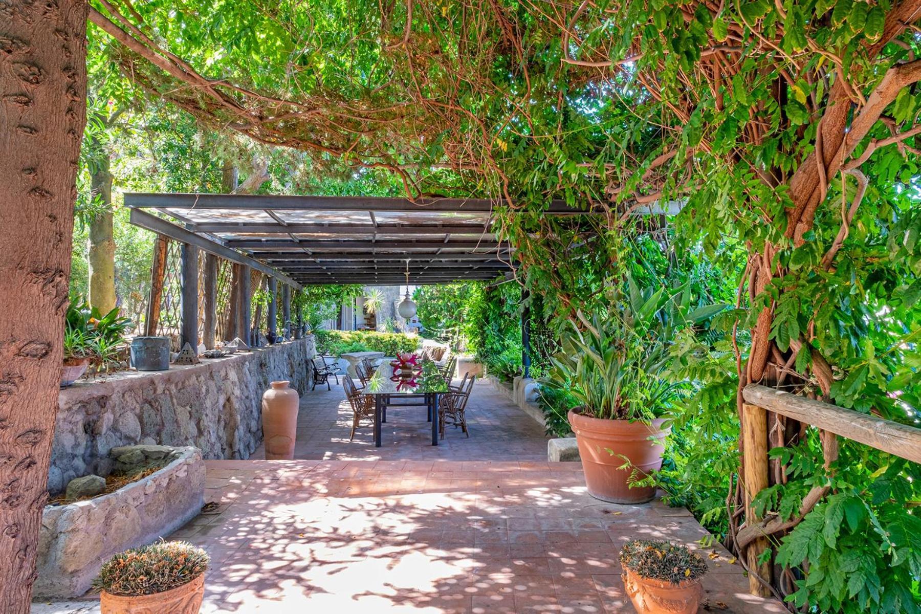 Villa Le Palme Forio di Ischia Zewnętrze zdjęcie