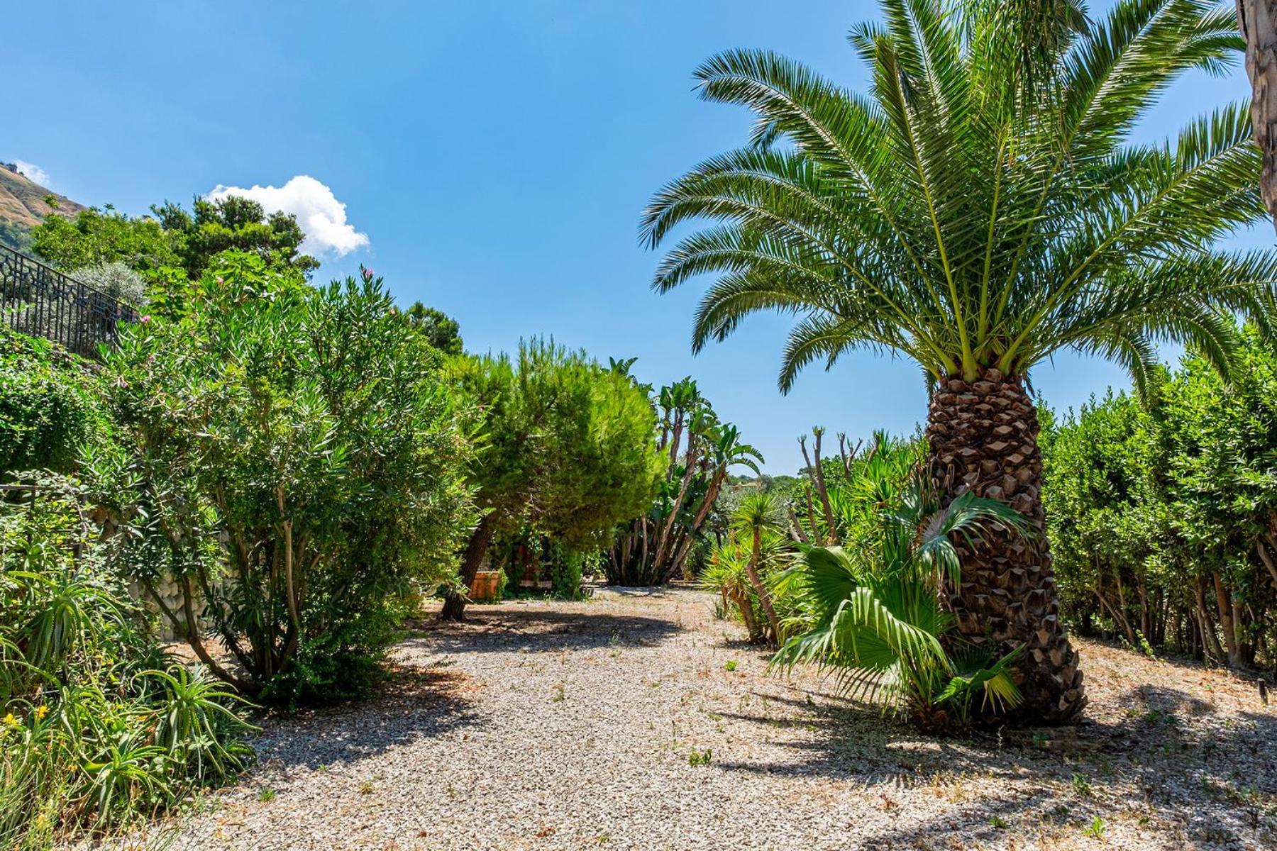 Villa Le Palme Forio di Ischia Zewnętrze zdjęcie