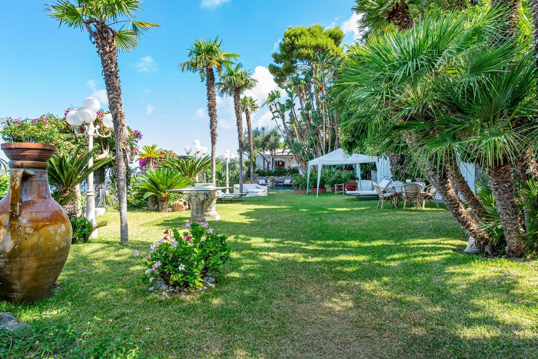 Villa Le Palme Forio di Ischia Zewnętrze zdjęcie