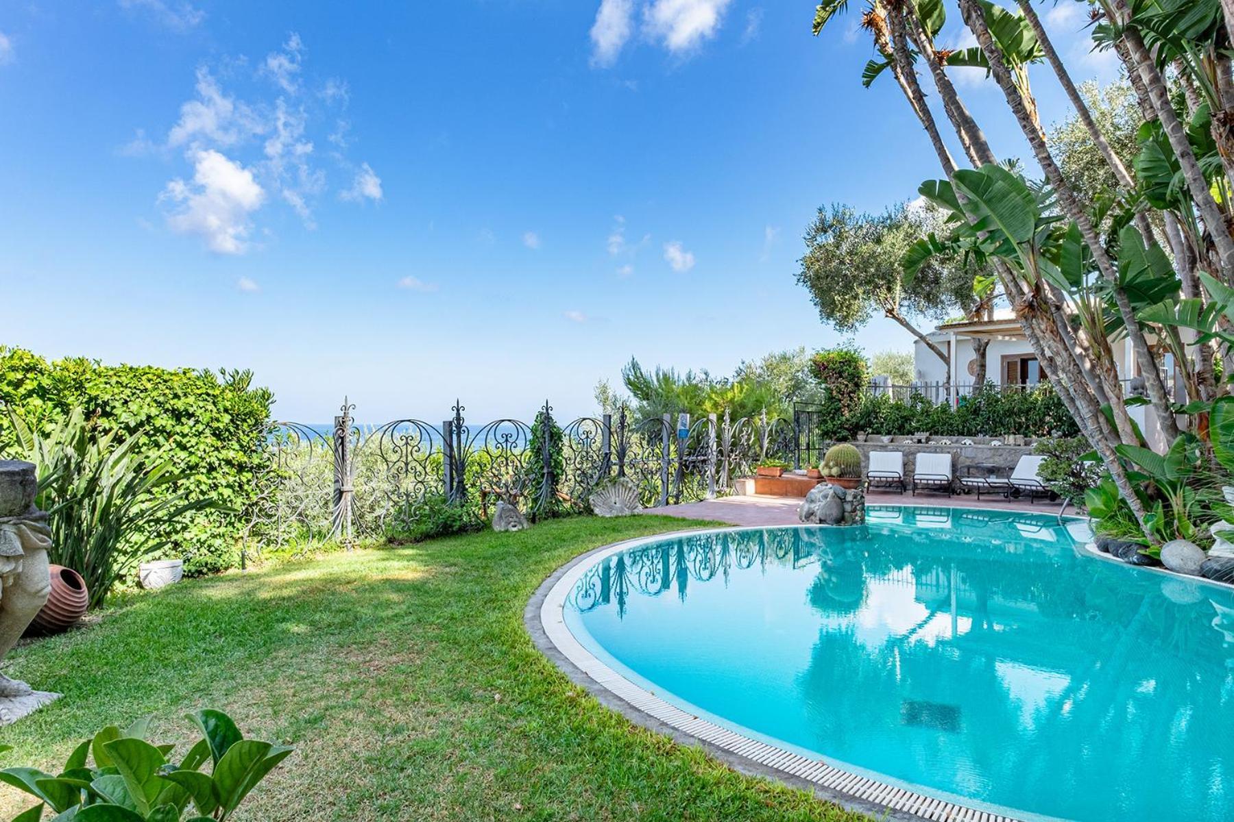 Villa Le Palme Forio di Ischia Zewnętrze zdjęcie