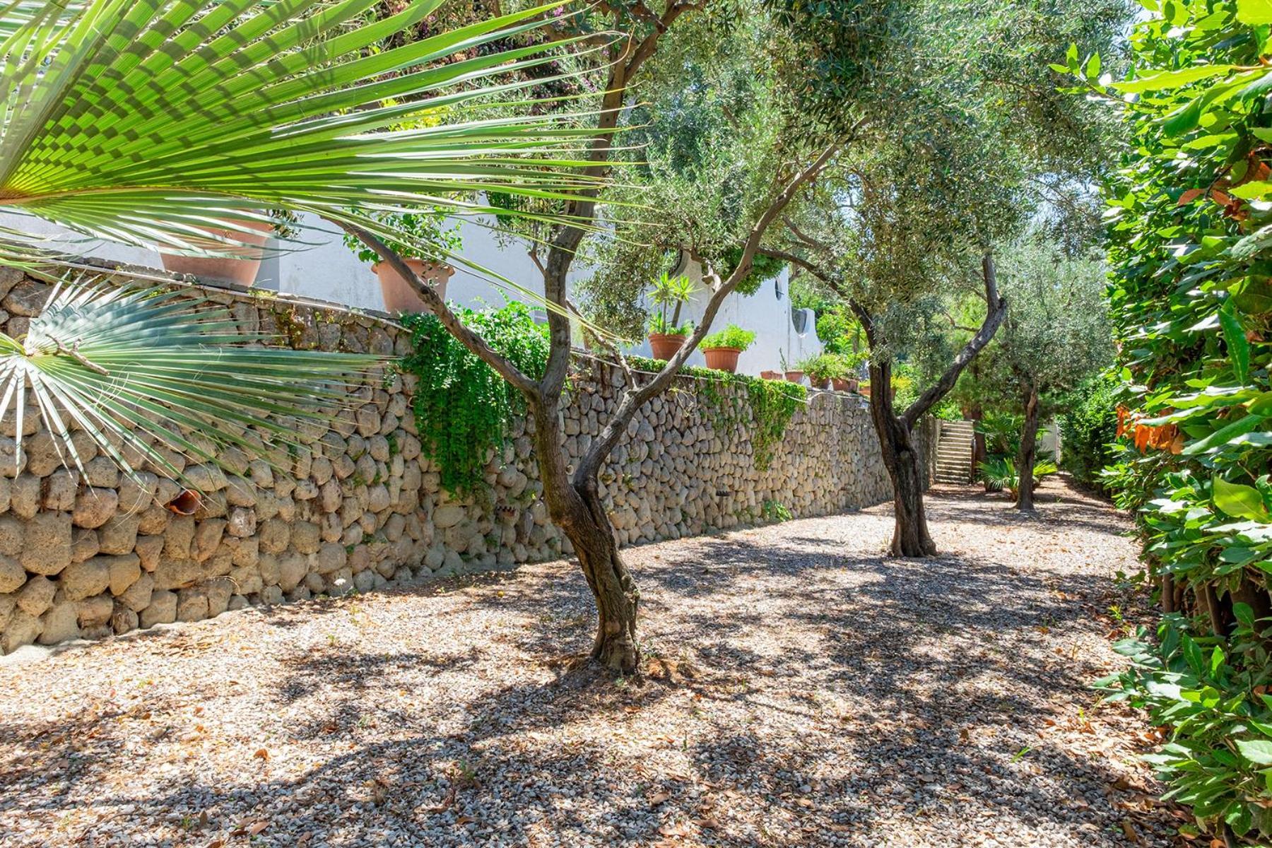 Villa Le Palme Forio di Ischia Zewnętrze zdjęcie