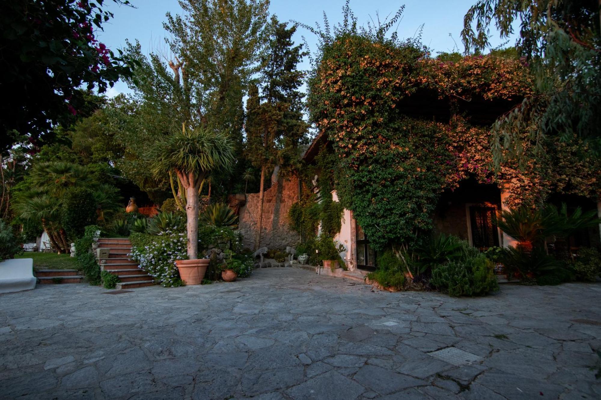 Villa Le Palme Forio di Ischia Zewnętrze zdjęcie